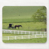 Amish-Hof mit Pferd und Buggy in der Nähe von Berl Mousepad (Vorne)