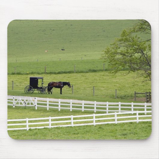 Amish-Hof mit Pferd und Buggy in der Nähe von Berl Mousepad (Vorne)