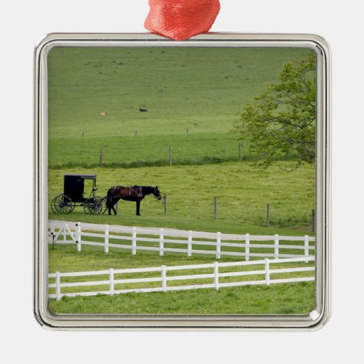 Amish-Hof mit Pferd und Buggy in der Nähe von Berl Silbernes Ornament (Vorne)
