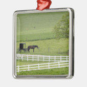 Amish-Hof mit Pferd und Buggy in der Nähe von Berl Silbernes Ornament (Links)