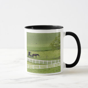 Amish-Hof mit Pferd und Buggy in der Nähe von Berl Tasse