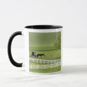 Amish-Hof mit Pferd und Buggy in der Nähe von Berl Tasse (Links)