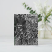 Amish Horse Black and White Grunge Postkarte (Stehend Vorderseite)