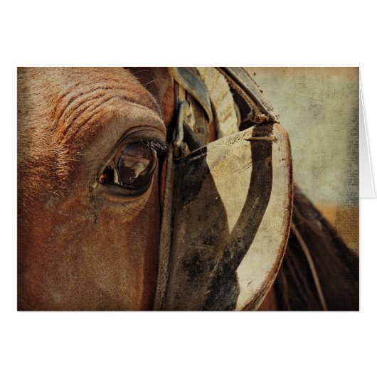 Amish Horse Eye (Vorderseite (Horizontal))