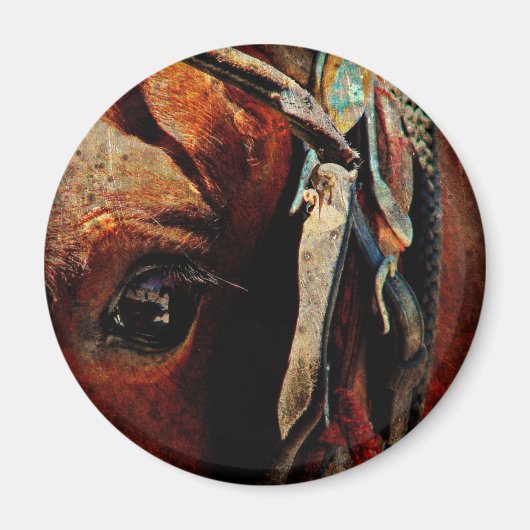 Amish Horse Eye Magnet (Vorne)