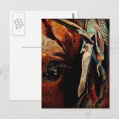 Amish Horse Eye Postkarte (Vorne/Hinten)