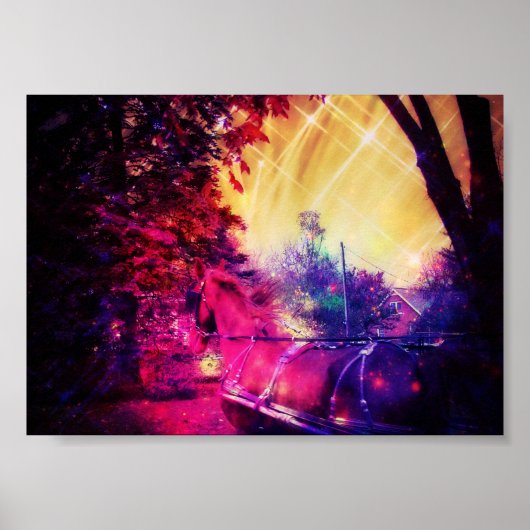 Amish Horse Fun Poster (Vorne)