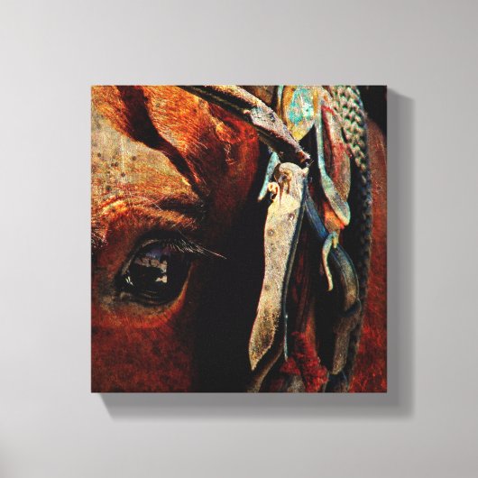 Amish Horse Grunge Leinwanddruck (Vorderseite)