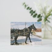 Amish Horse Power-Postkarte Postkarte (Stehend Vorderseite)
