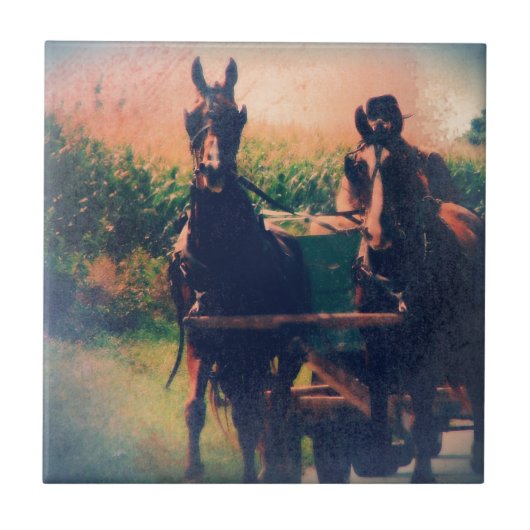 Amish Horse Team Fliese (Vorderseite)