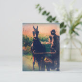 Amish Horse Team Postkarte (Stehend Vorderseite)
