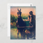 Amish Horse Team Postkarte (Vorne/Hinten)