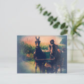 Amish Horse Team Postkarte (Stehend Vorderseite)