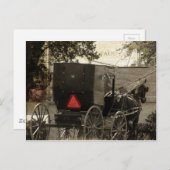 Amish Horst und Buggy Sepia Postcard Postkarte (Vorne/Hinten)