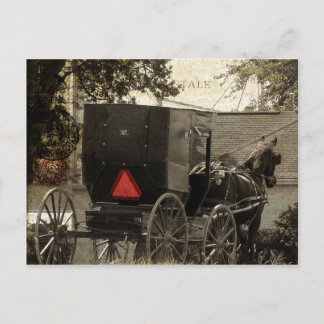 Amish Horst und Buggy Sepia Postcard Postkarte