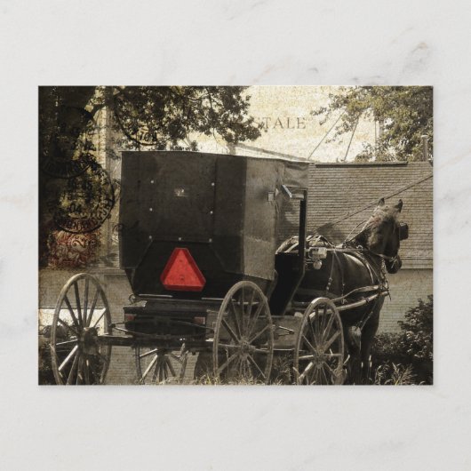 Amish Horst und Buggy Sepia Postcard Postkarte (Vorderseite)