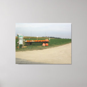 Amish-Kürbisfeld-Farm-Fotografie-Wandkunst Leinwanddruck
