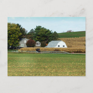 Amish-Kutsche, Holmes County, Ohio Postkarte