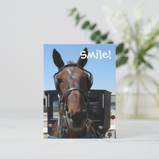 Amish Lächeln! Postkarte (Stehend Vorderseite)