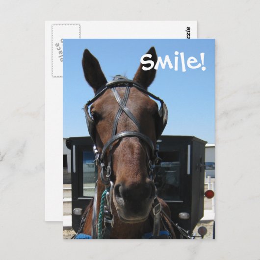 Amish Lächeln! Postkarte (Vorne/Hinten)