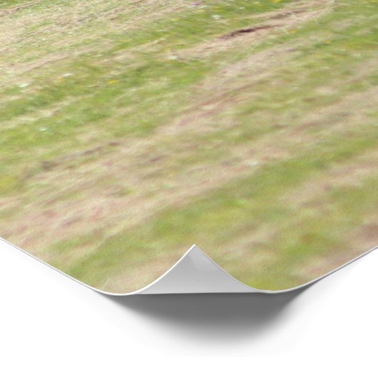 Amish Life Poster (Ecke)