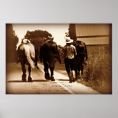 Amish Life Poster (Vorne)
