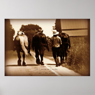 Amish Life Poster