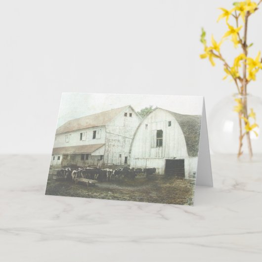 Amish-Milch Karte (Gelbe Blume)