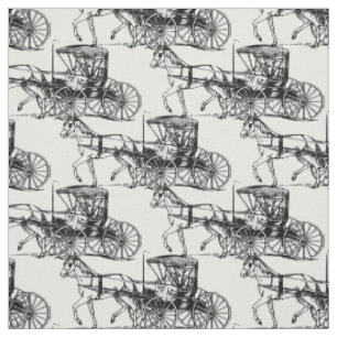 Amish-Paar in Buggy Thunder_Cove Stoff