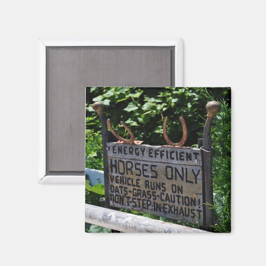 Amish Parking Sign Magnet (Vorderseite/Rückseite)
