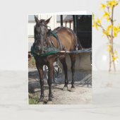 Amish-Pferd am Hitching Post Karte (Gelbe Blume)