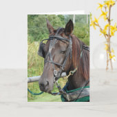 Amish Pferd am Hitching Post Karte (Gelbe Blume)