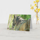 Amish Pferd bei Hitching Post Jedes Anlasses Karte (Gelbe Blume)