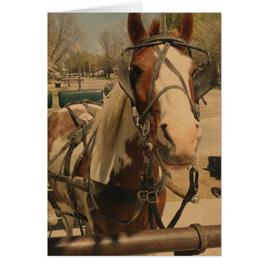 Amish Pferd, Ein Pin (Vorne)