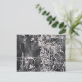 Amish Pferd in Schwarz und Weiß Grunge Postkarte (Stehend Vorderseite)