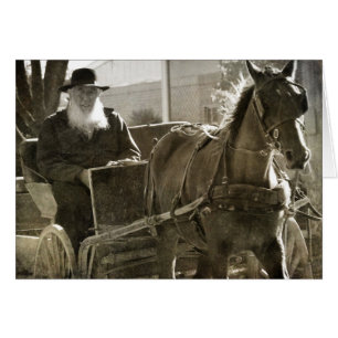 Amish Pferd ist Albern mit Zunge verklemmt