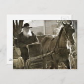 Amish Pferd ist Albern mit Zunge verklemmt Postkarte (Vorne/Hinten)