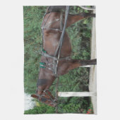 Amish Pferd Küchentuch (Vertikal)