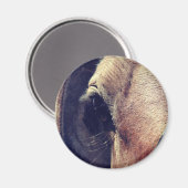 Amish Pferd Magnet (Vorderseite/Rückseite)