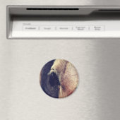 Amish Pferd Magnet (In Situ (Geschirrspüler))