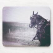 Amish Pferd Mousepad (Vorne)
