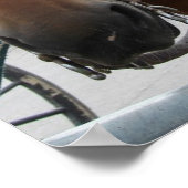 Amish Pferd Poster (Ecke)