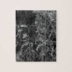 Amish Pferd Schwarz und Weiß Grunge Puzzle