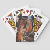Amish Pferd Spielkarten (Rückseite)