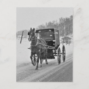 Amish Pferd und Buggy 3-Postkarte Postkarte