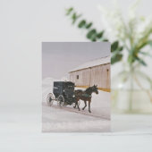 Amish Pferd und Buggy auf der Winterstraße-Postkar Postkarte (Stehend Vorderseite)