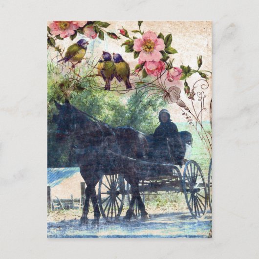 Amish Pferd und Buggy Birdie Texture Postkarte (Vorderseite)