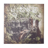 Amish Pferd und Buggy im Schatten Fliese (Vorderseite)