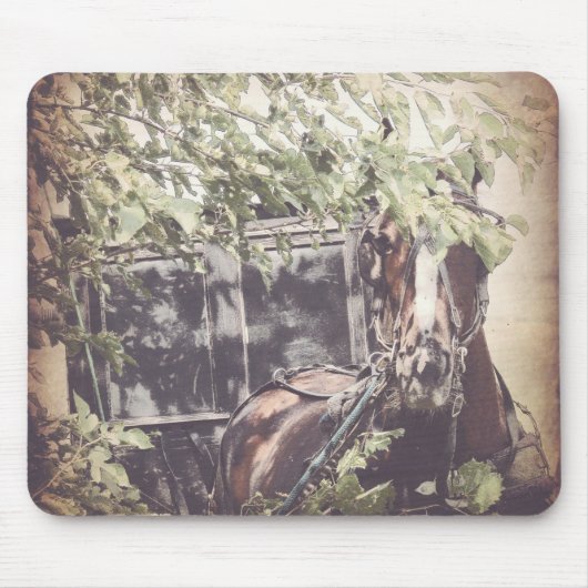 Amish Pferd und Buggy im Schatten Mousepad (Vorne)