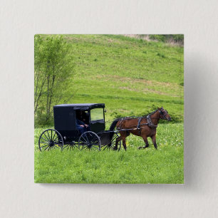 Amish-Pferd und Buggy in der Nähe von Berlin, Ohio Button